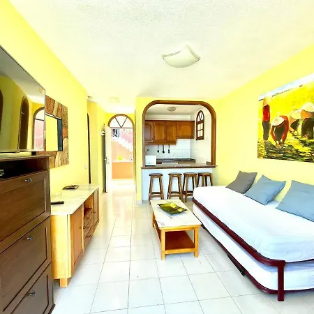 Nice apartment,terrace ocean view,Wifi, Tenerife South *